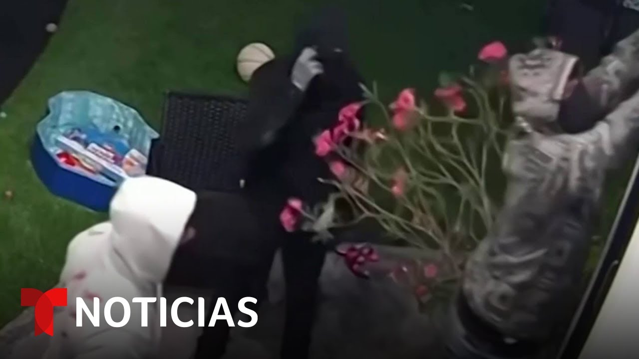 Arrestan a un grupo de ladrones con visas de turistas en Los Ángeles | Noticias Telemundo