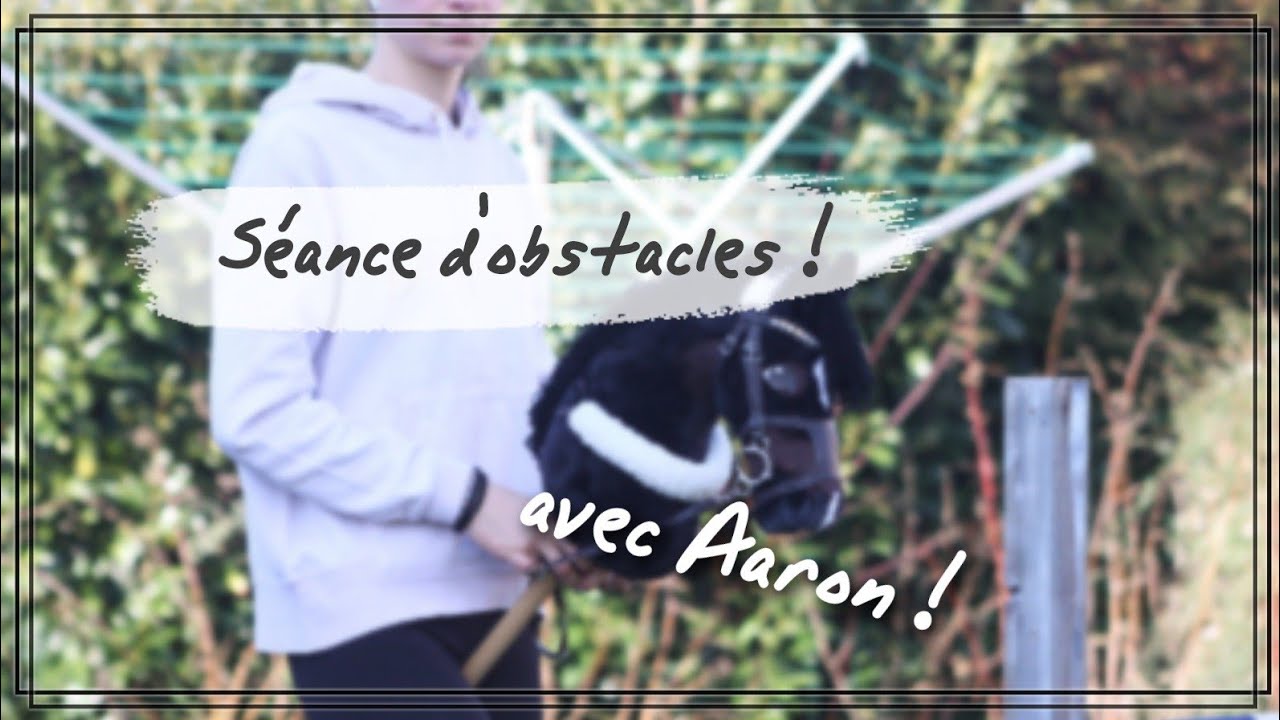 Séance d'obstacles avec Aaron !