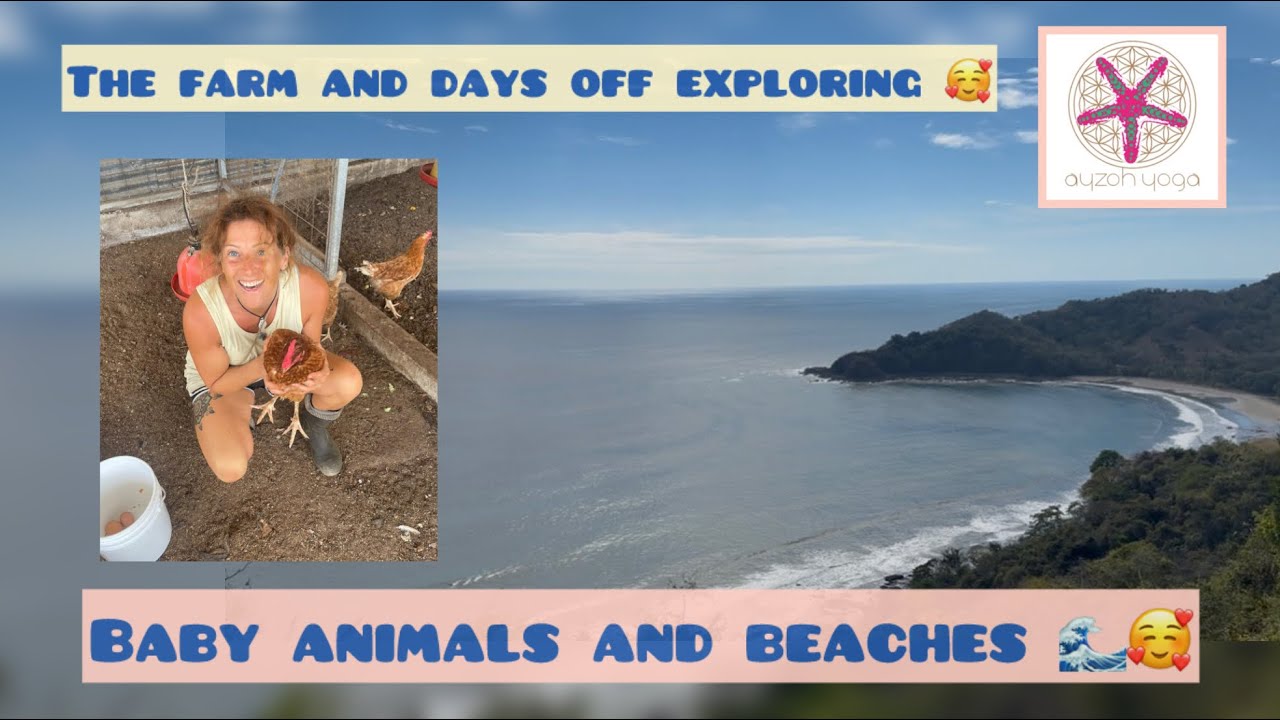 More baby animals and a 2 days off exploring 😍💗