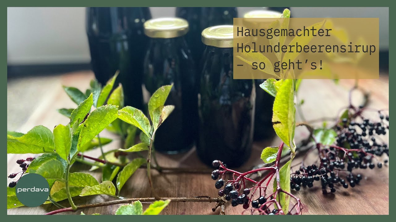 Holunderbeerensirup selber machen 🍇Gesund, aromatisch & haltbar