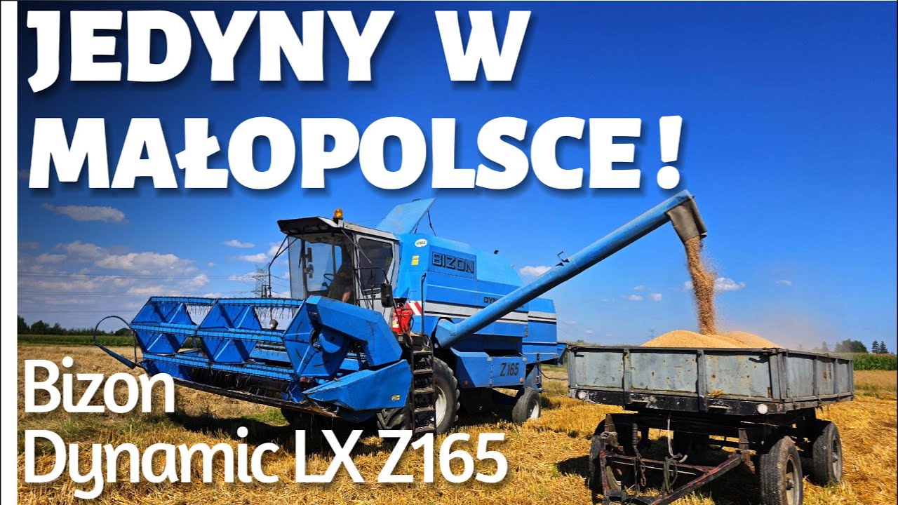 Bizon Dynamic LX Z165 – Jedyny w Małopolsce! 🌾 Żniwa 2025 – Biały Kruk w akcji 🦅”