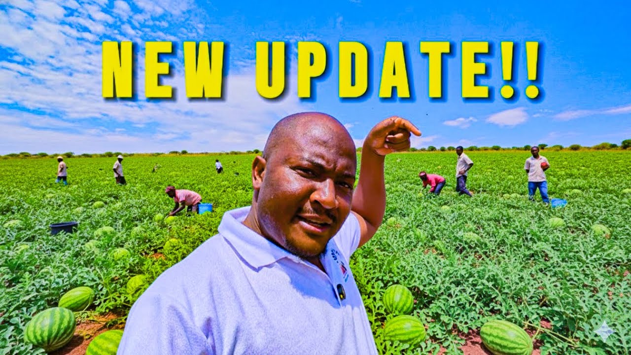 I Can't Believe This Is Me At My RURAL HOME!!