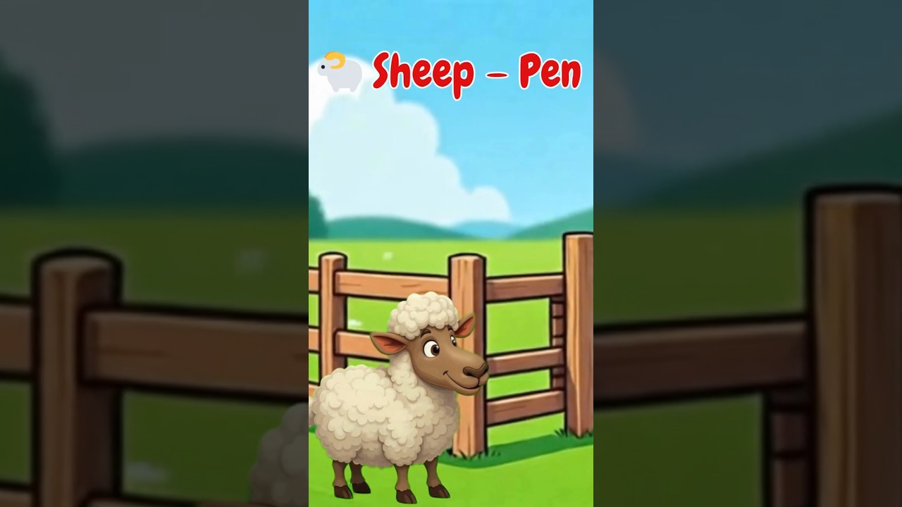 Where Do Animals Live? 🐾 | Animal Homes for Kids | 