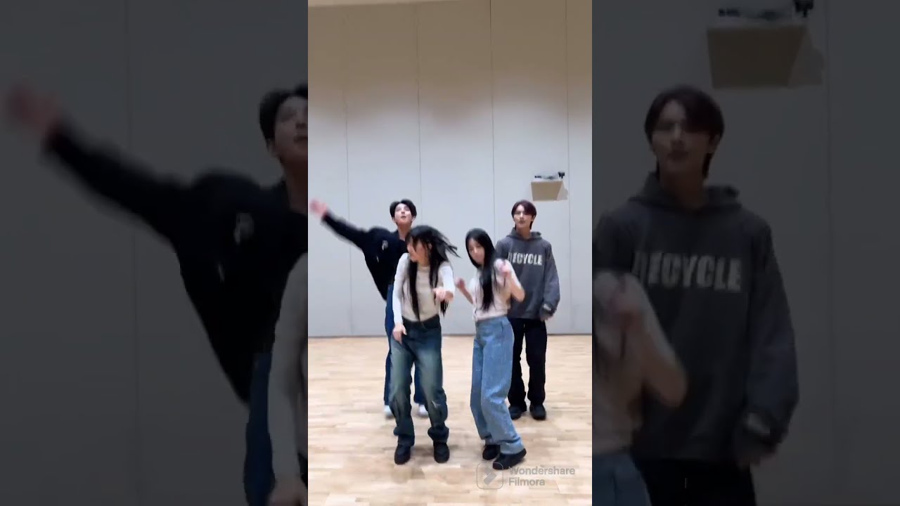 Red Velvet Irene 아이린 & Seulgi 슬기 Dance Challenge Compilation