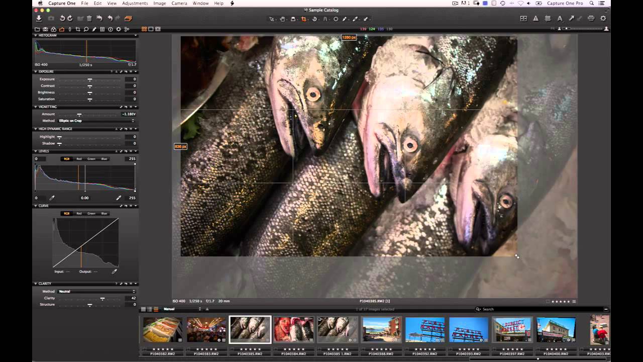 The Vignetting Tool in Capture One Pro 7 | Phase One