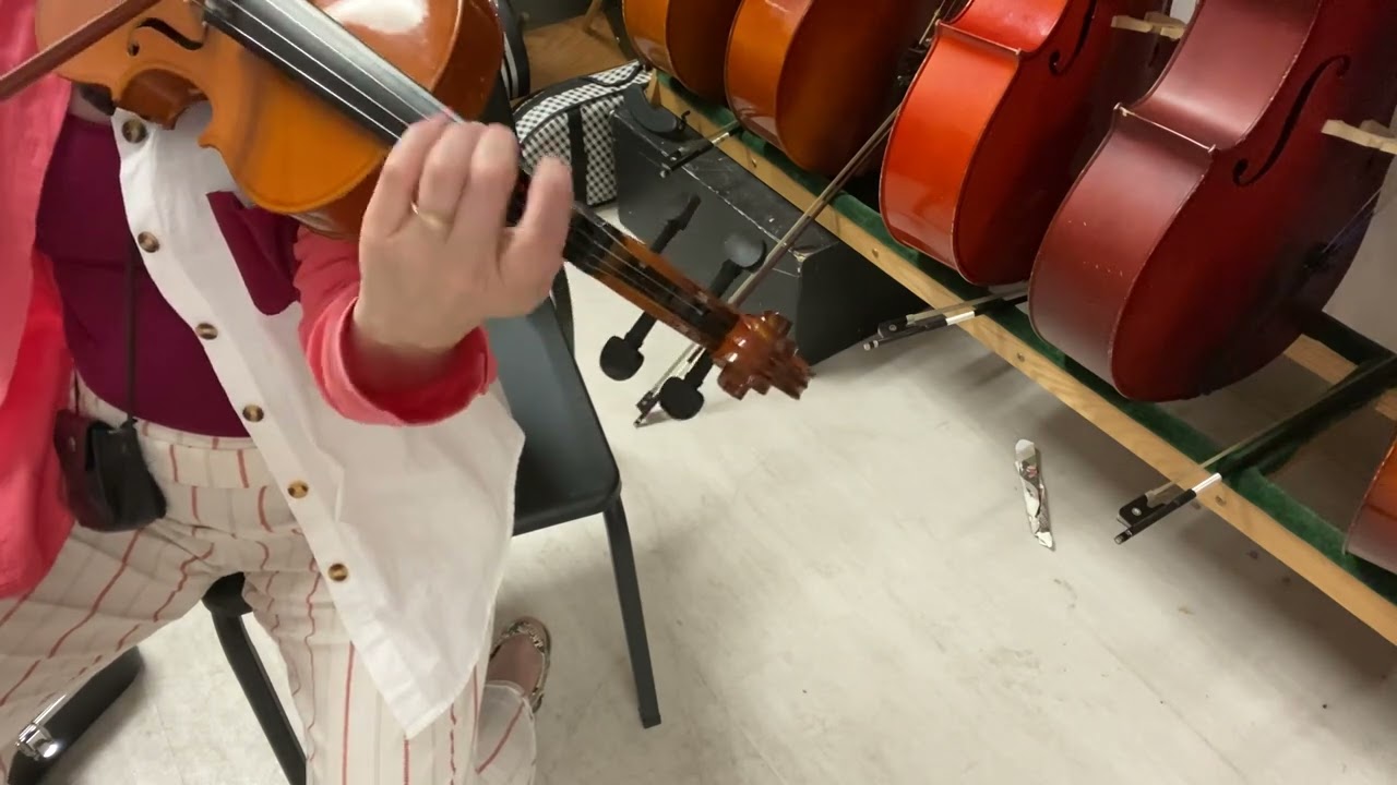Violin 2 Orchid