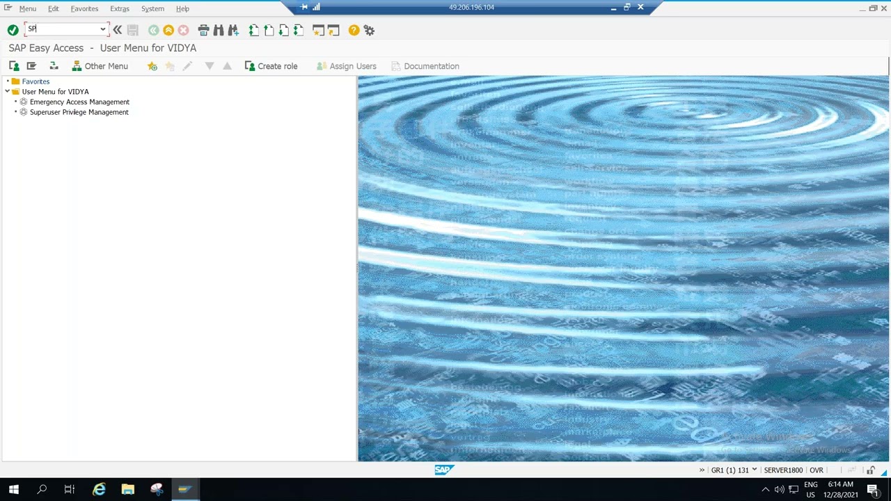 Sap - Grc - EAM