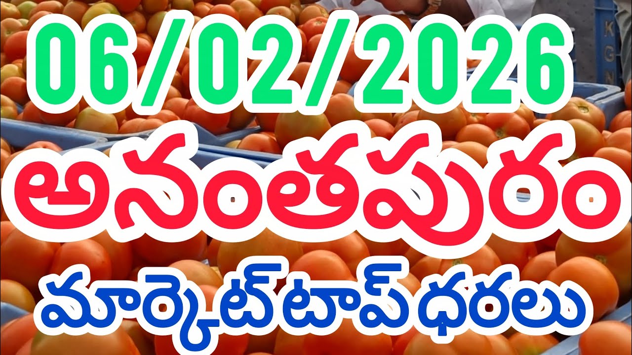 అనంతపురం టమోటా మార్కెట్ సూపర్ టాప్ ధరలు #price #rates #tomato #today #ananthapuram 