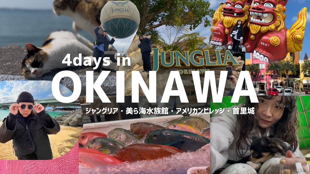  沖縄3泊4日旅🌺【ジャングリア・ネオパーク・美ら海・国際通り】猫好き夫婦のリアル旅Vlog
