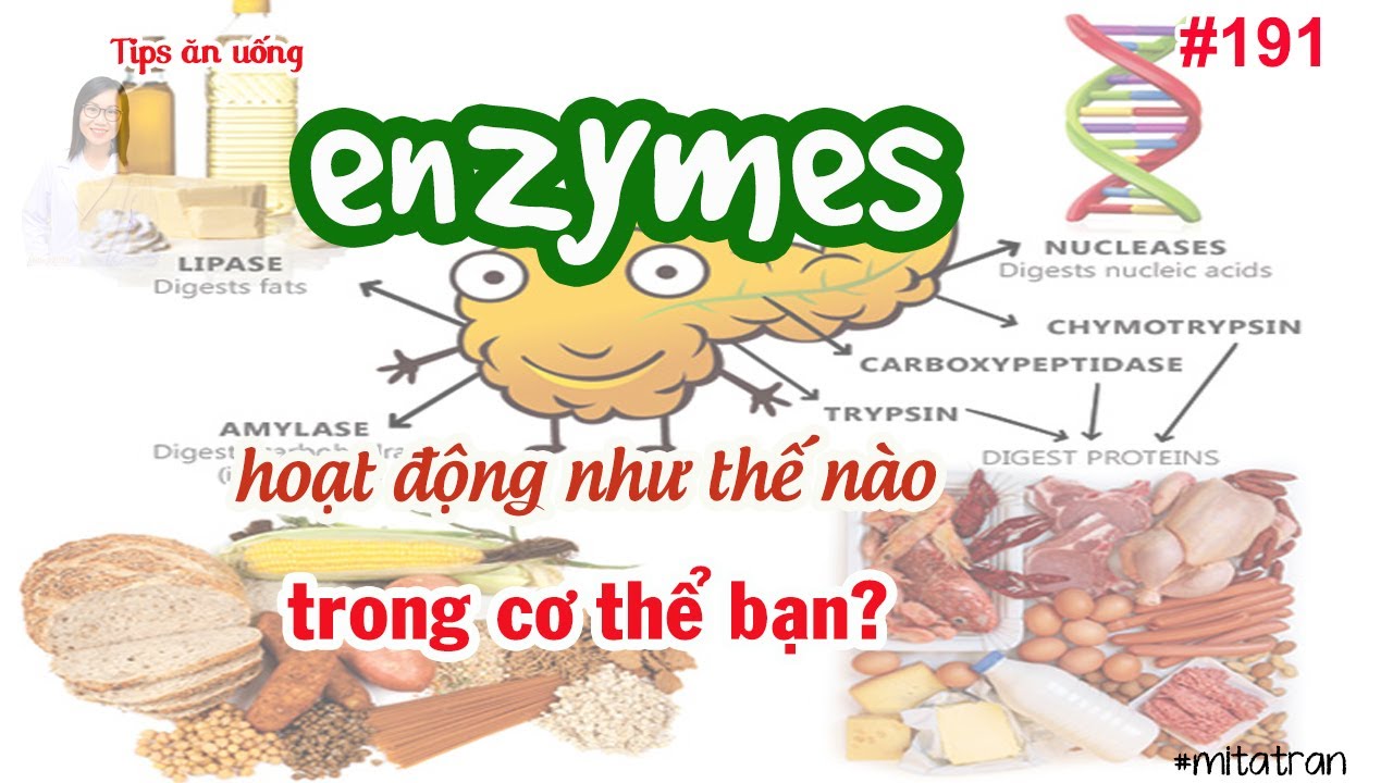 #191. Enzymes • hoạt động trong cơ thể bạn?