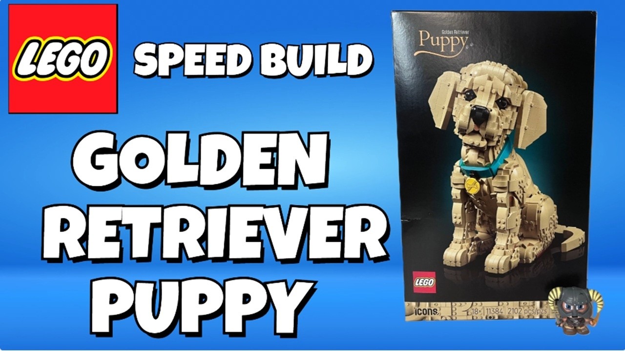 Meet Applesauce! Our LEGO Golden Retriever Puppy. #lego #puppy #goldenretriever #legopuppy #afol