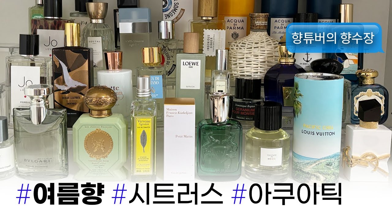 남녀노소! 쿨한 여름 향수 잔뜩 추천💚시트러스, 허브, 마린향 모음🌴