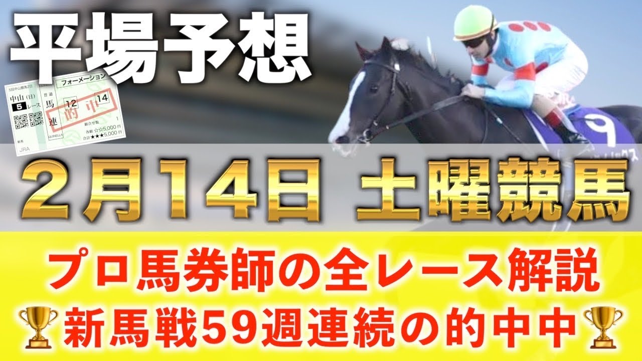 【2月14日土曜競馬予想】60週連続の新馬戦的中へ🥇プロが平場全レース予想を無料公開！【平場予想】