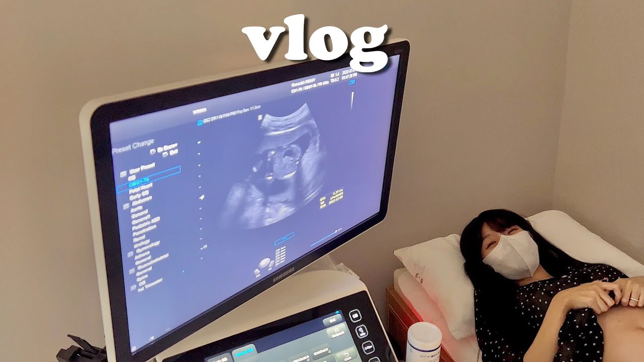 VLOG 사랑이 성별 보는날!👼 딤섬에 빠져버림🥟, 남편 쇼핑의날🛍임신 16주 일상