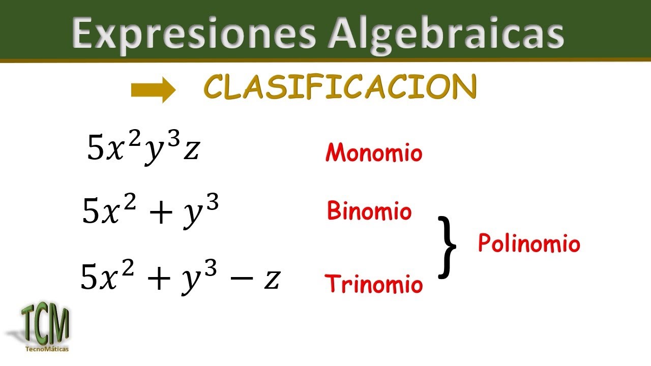 Clasificación de las Expresiones Algebraicas