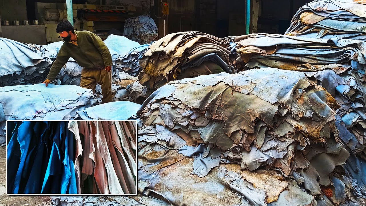 Mass Production of Quality Leather II Tanning Process II Leather II PAK MADE