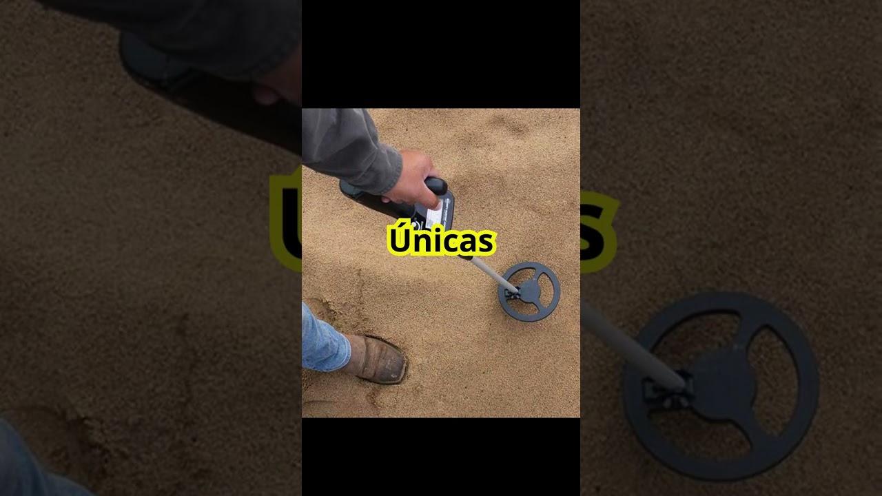 Detector de Oro y Metales
