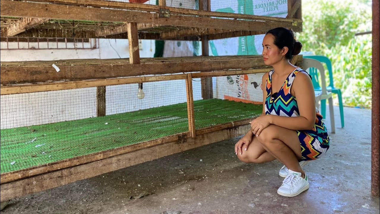 Bakit sila tumigil sa pag aalaga ng broiler?