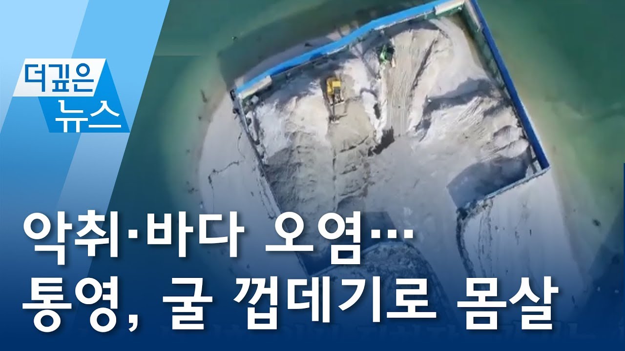 [더깊은뉴스] 악취&middot;바다 오염&hellip;통영, 굴 껍데기로 몸살 | 뉴스A