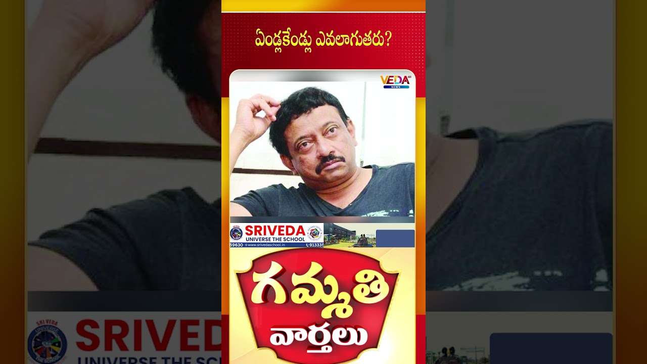 ఏండ్లకేండ్లు ఎవలాగుతరు ? | Gammathi Varthalu | Veda TV News