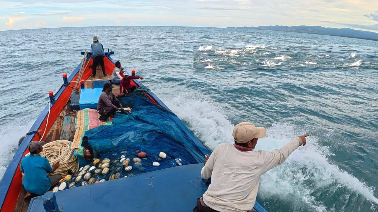 Pukat cincin, Nelayan Indonesia Dapat Banyak Ikan, luar biasa hasil tangkapan nelayan Indonesia