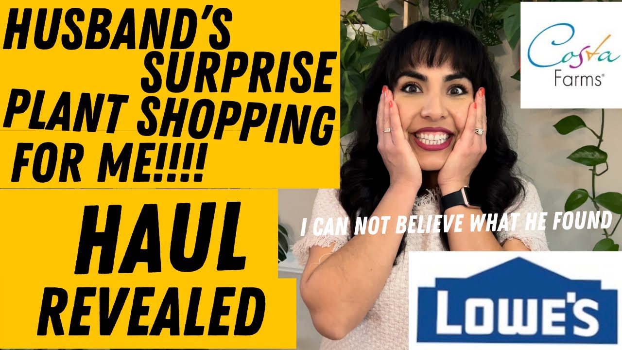 MY HUSBAND&rsquo;s  BIG BOX PLANT SHOPPING FOR ME💚💚(HAUL)Amazing Finds!!! Incredible SURPRISE!!! 😮😲😮