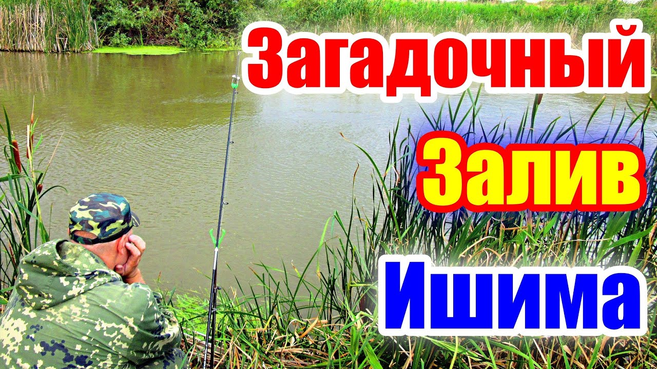 ЗАГАДОЧНЫЙ ЗАЛИВ ИШИМА!!! РЫБАЛКА НА РЕКЕ ИШИМ. #рыбалка #казахстан #донка #река #плотва