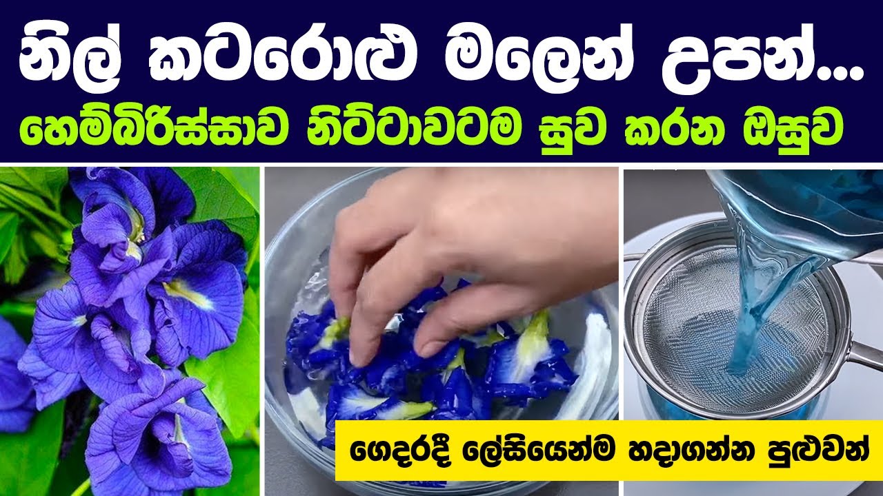 සෙම සහ සිරුරේ විස නසන නිල් කටරොළු මලෙන් උපන් කෑම සහ බීම | Blue Butterfly Pea Flower