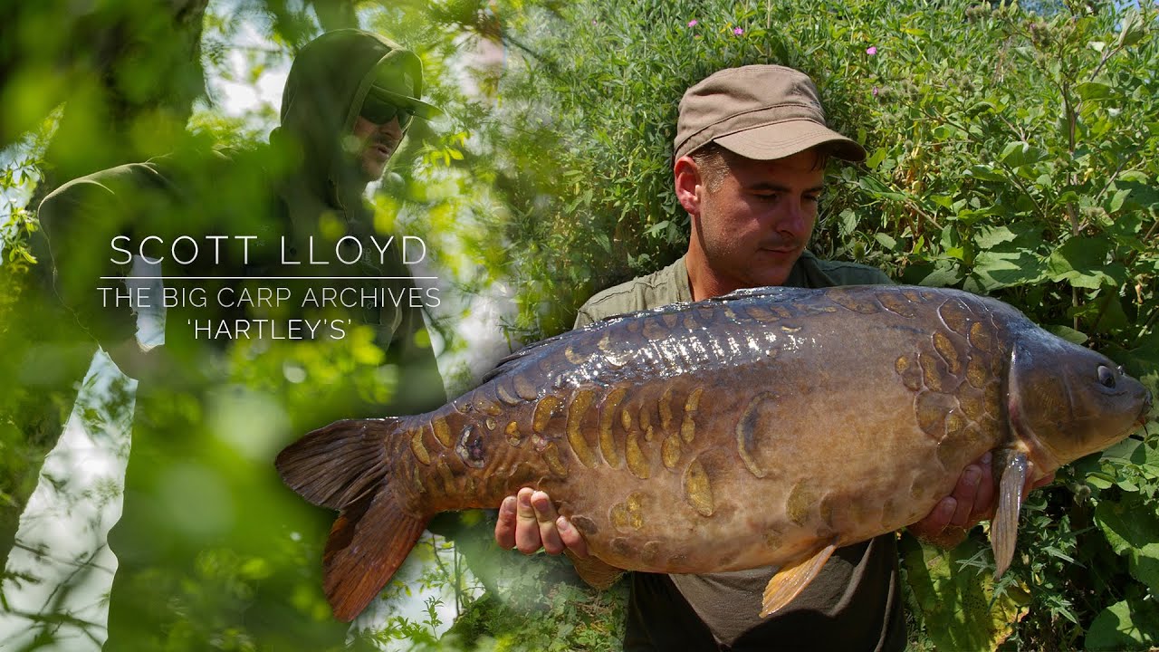 Scott Lloyd - The Capture of Hartleys