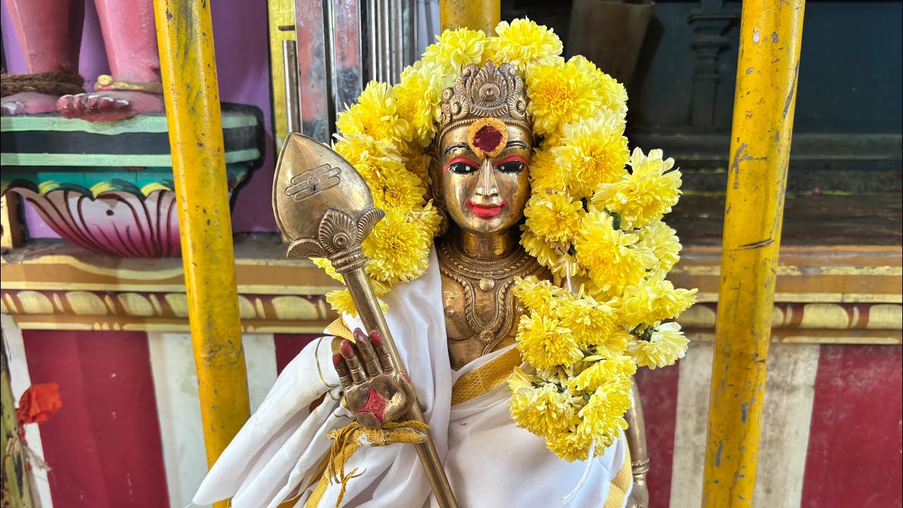 LIVE | Thaipusam 2026 🔱 | Lord Murugan Live Darshan | Tamil Devotional