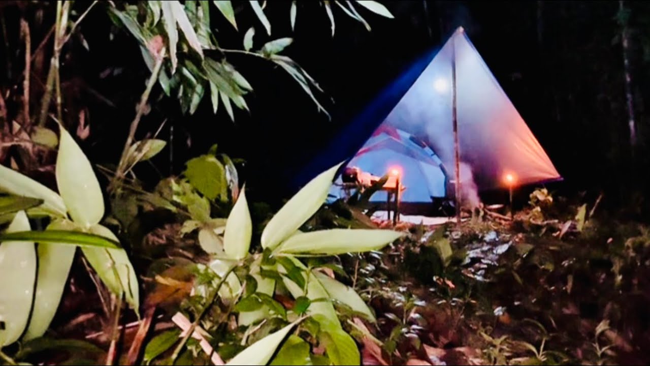 Camping solo sleeping alone in the haunted forest of the Kalimantan river and fishing part-2