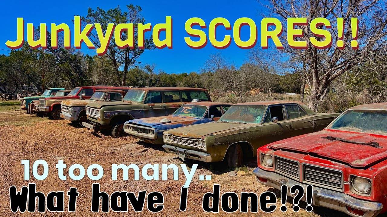 Junkyard treasures! 10 vehicles saved!