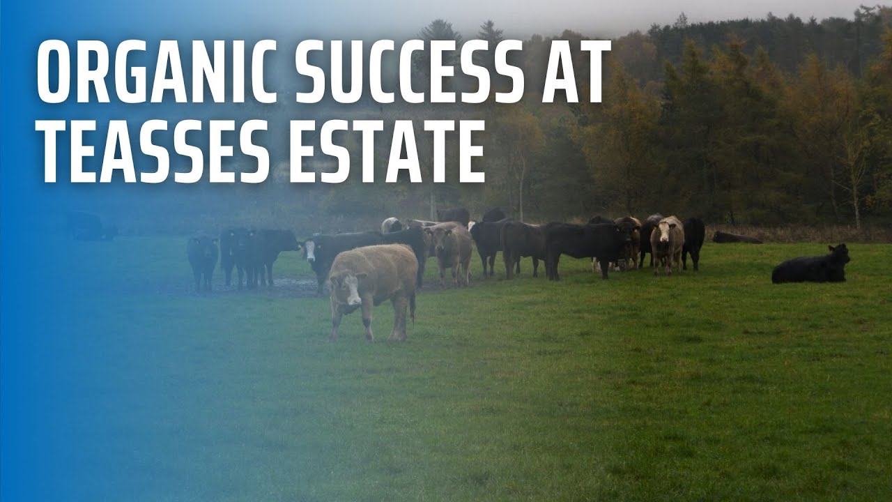 Organic Success at Teasses Estate