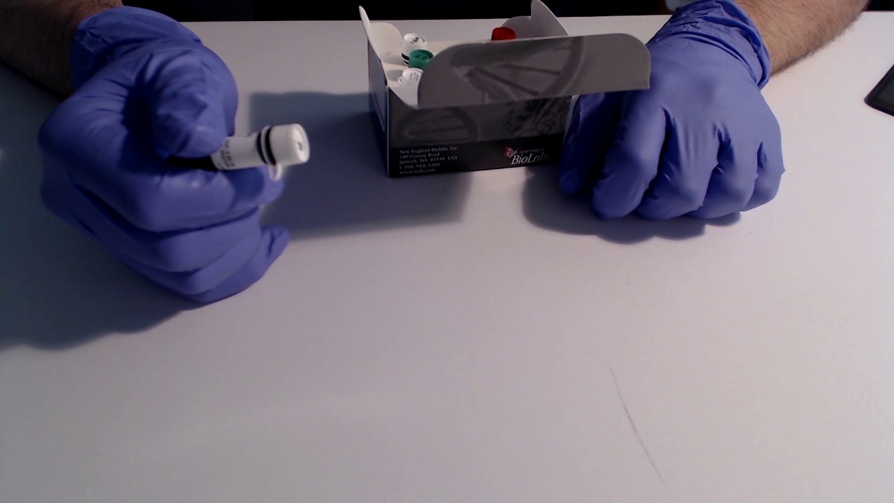 Unboxing NEBquant qPCR - avoid overclustering!