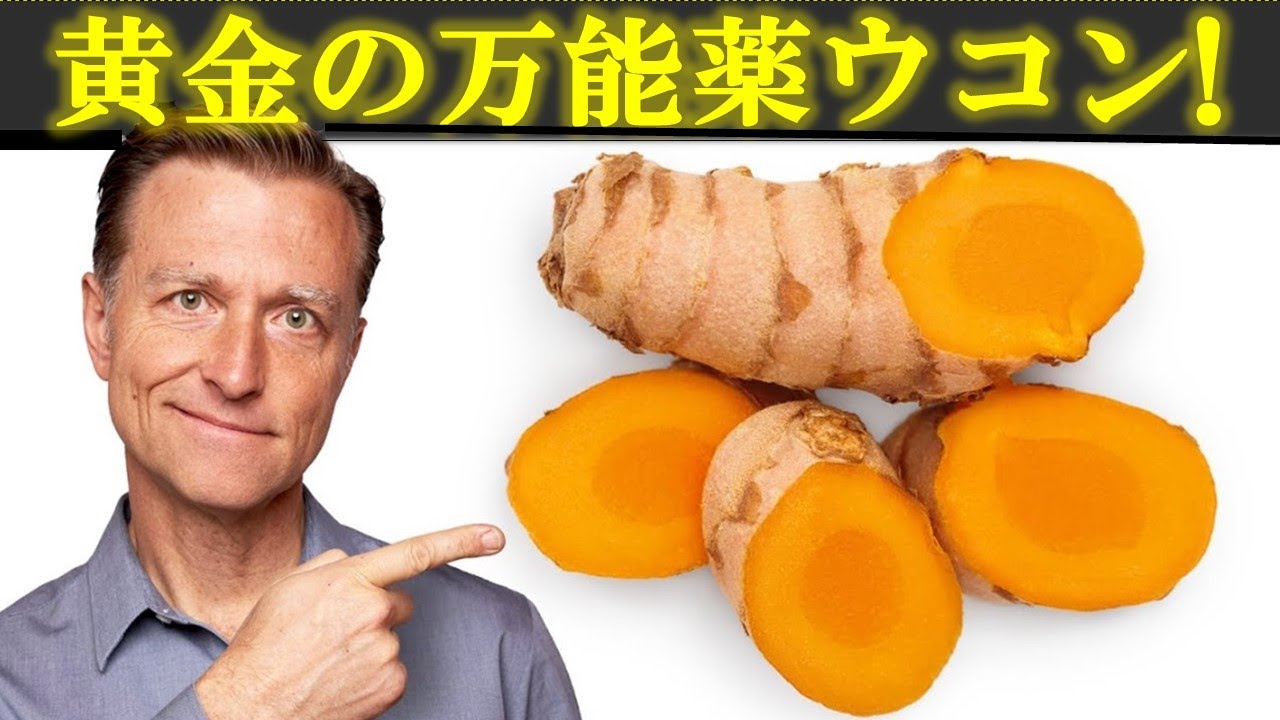 黄金の万能薬ウコン！【栄養素・ハーブ、健康全般】ドクター・バーグ