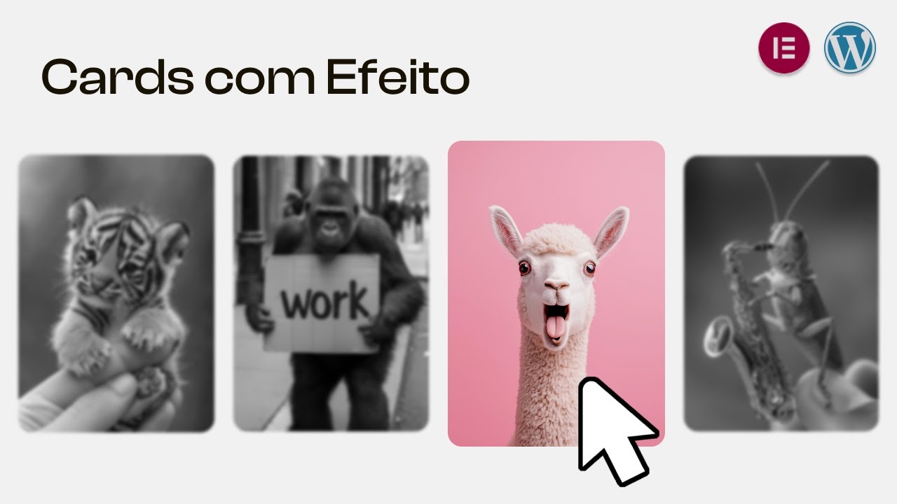 Efeitos Interativos com o Mouse em Cards no WordPress Elementor | CSS Hover Effects