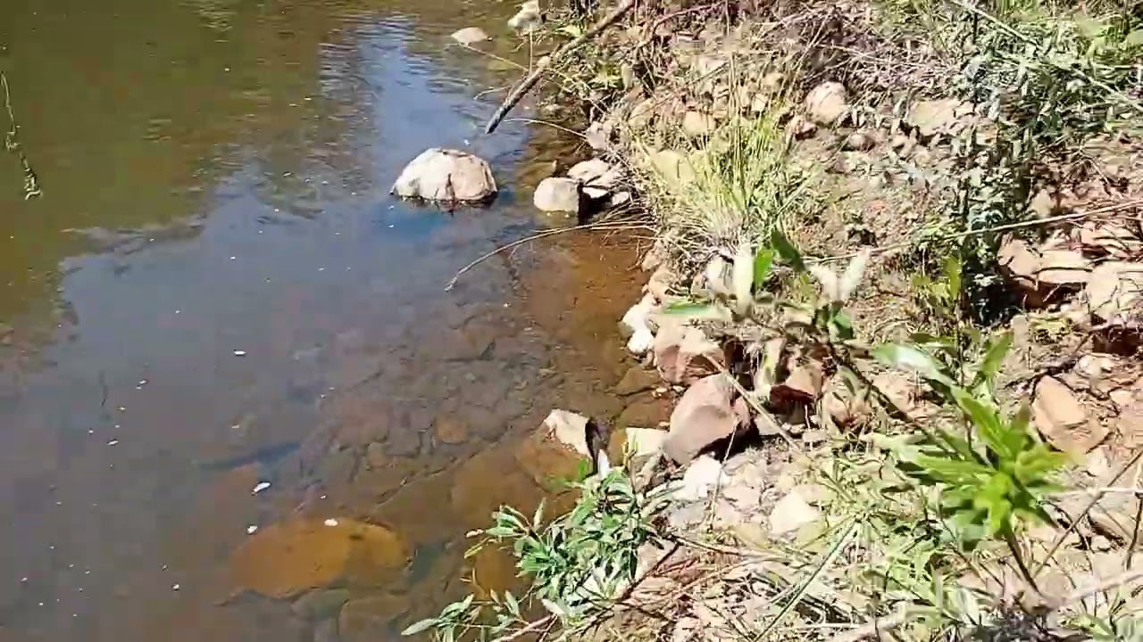 Em busca de pedra cornalina