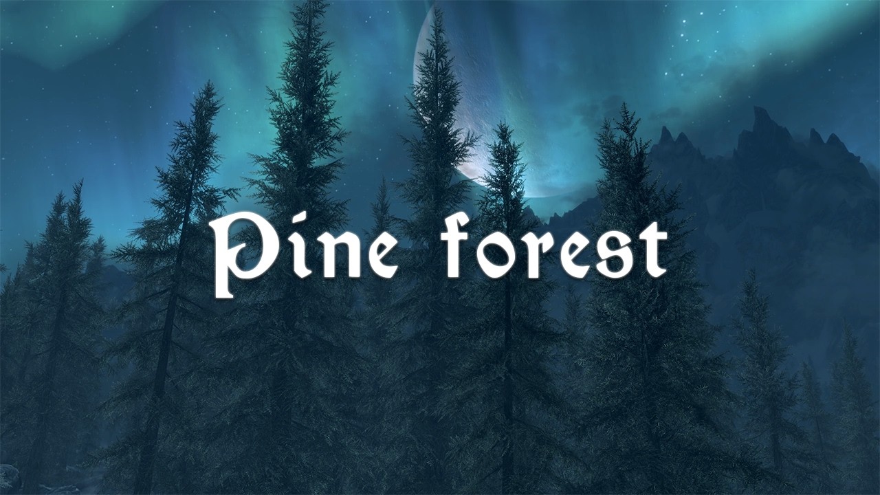Pine Forests 🎧 Deep Relaxing Skyrim Ambient Music