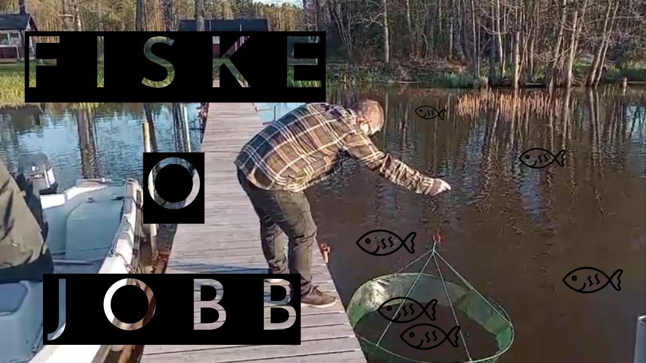 Fiske, jobb o lite träning