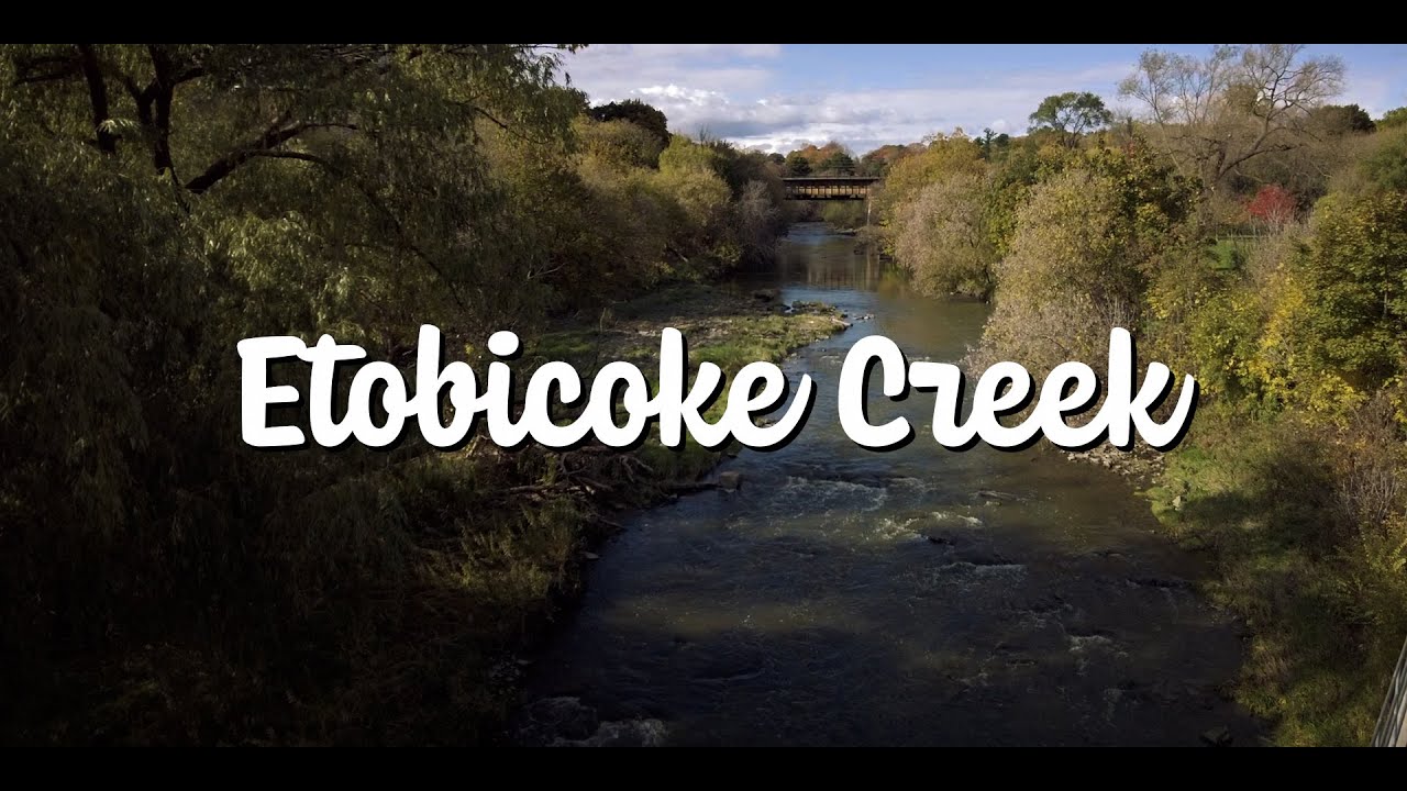 Etobicoke Creek  - A Hidden Gem
