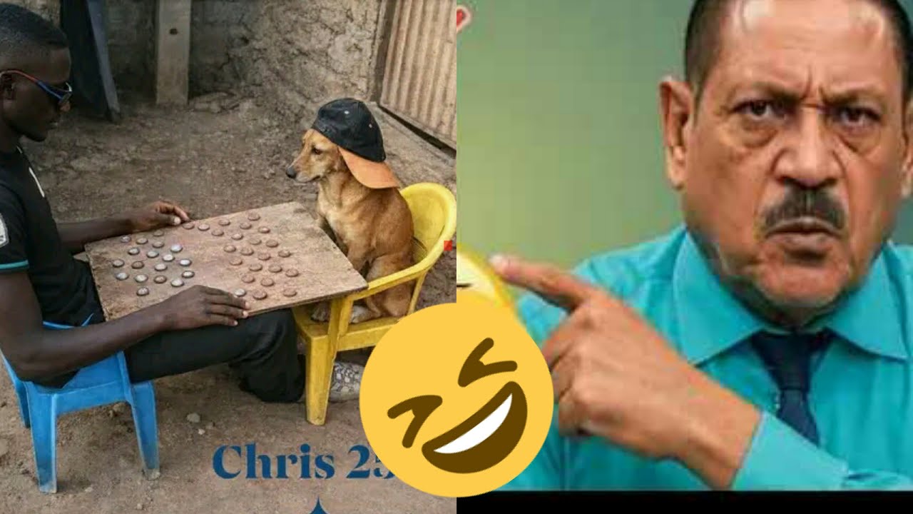 Try Not To laugh😂😁 Challenge level #2 Extreme Funniest Videos In The World! #funnyvideo #comedy #fun
