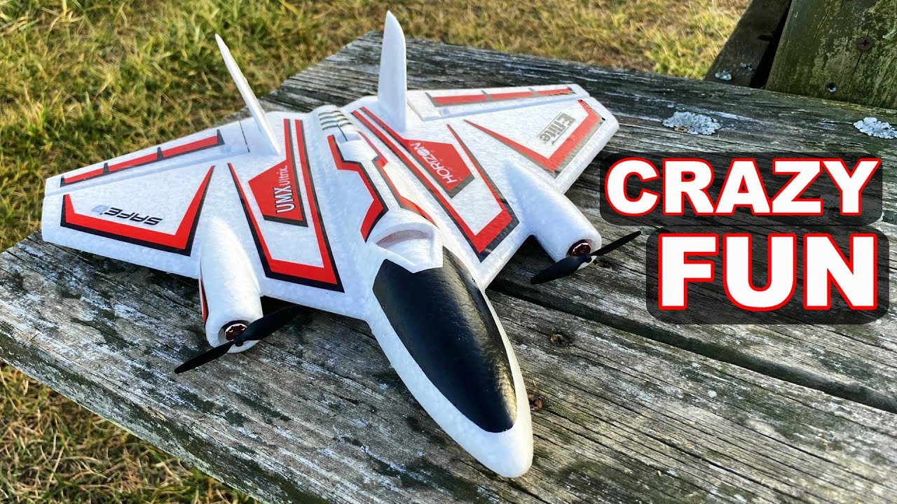 This RC Plane Will Make You Look Like a PRO! - E-flite UMX Ultrix - TheRcSaylors