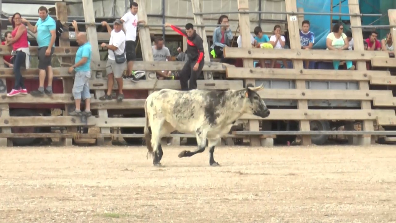 2017 05 17 ALCANAR HNOS OZCOZ HURRACA nº657