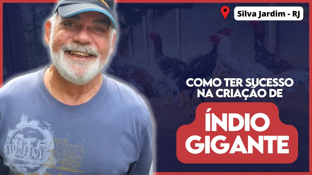 A Criação de ÍNDIO GIGANTE deste Criatório é Impressionante! Como ele tem SUCESSO em sua criação