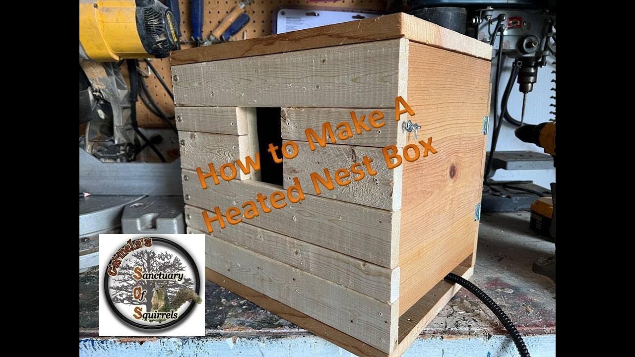 How to Build a Heated Nest Box for Squirrels - Sanctuary Episode 14