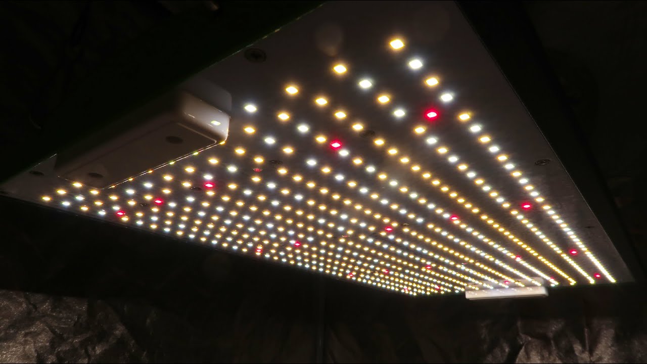 VIPARSPECTRA P2000 LED Grow Light Unboxing, PAR Test, Heat Test & Wattage Test!