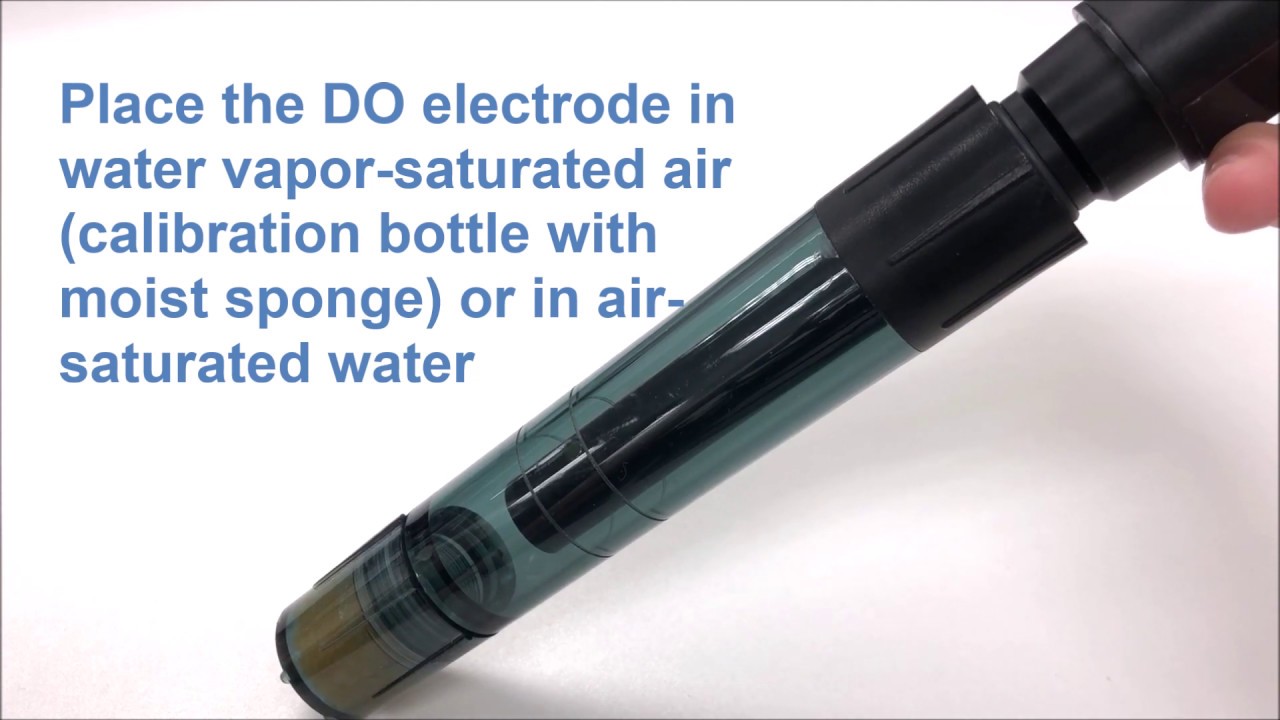 DO Calibration - 300 Series