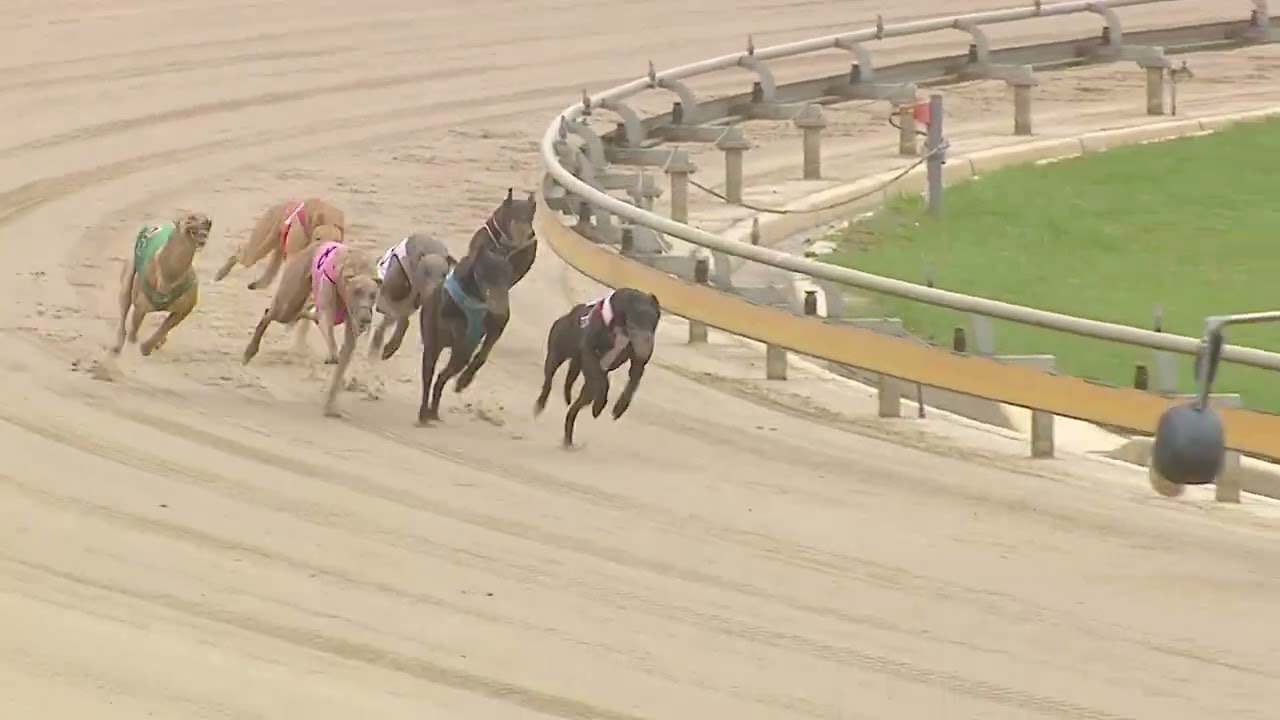 SLE WED 04 MAR 26 R5