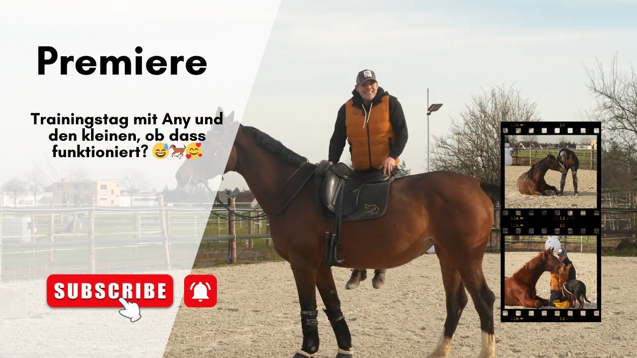 Trainingstag mit Any und den kleinen, ob dass funktioniert? 😅🐎🥰