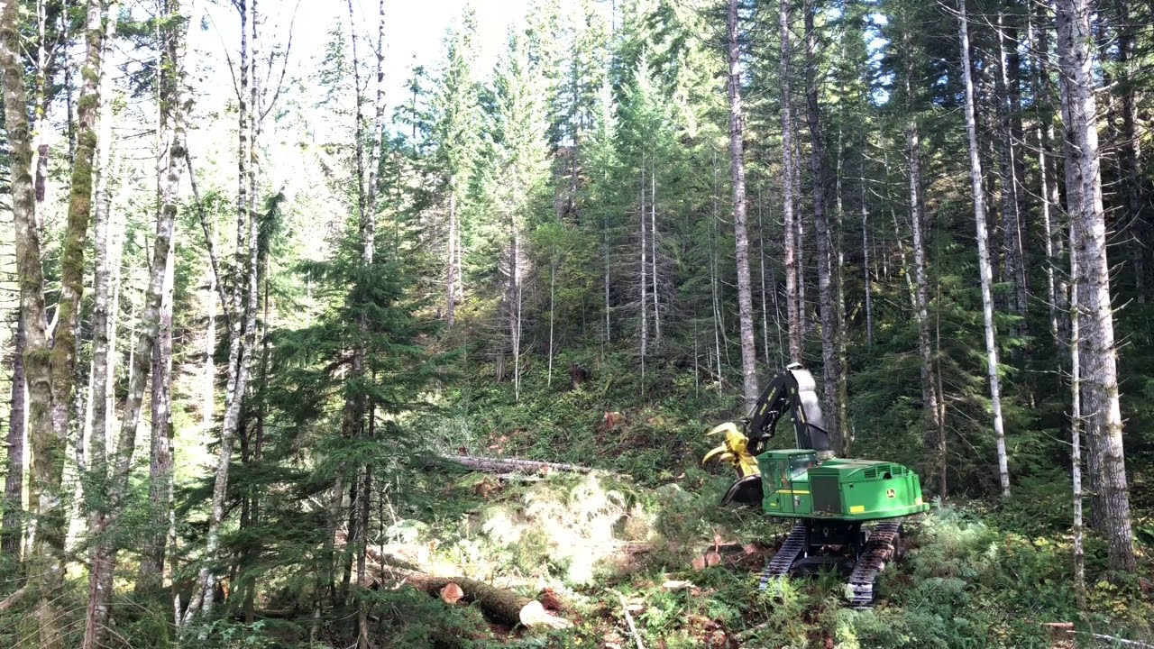 2014 John Deere 959k Feller Buncher
